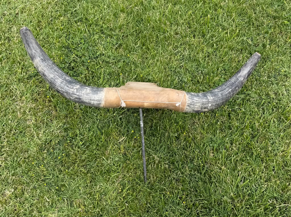 Roping Dummy Head -real horn