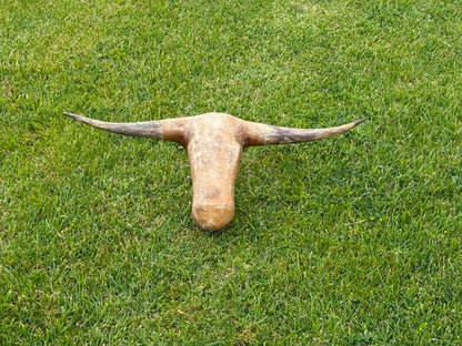 Roping Dummy Head -real horn