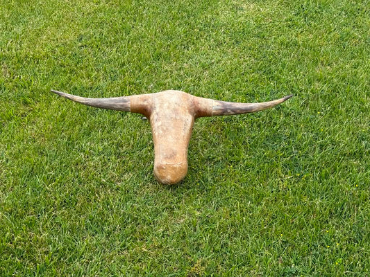 Roping Dummy Head -real horn