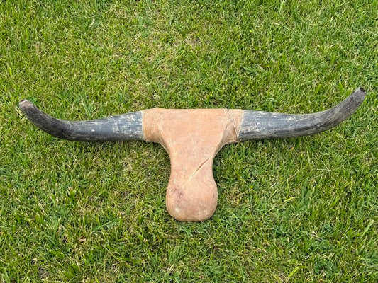 Roping Dummy Head -real horn