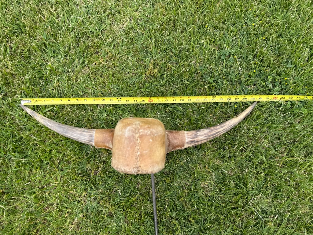 Roping Dummy Head -real horn