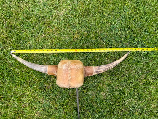 Roping Dummy Head -real horn