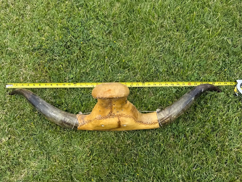 Roping Dummy Head -real horn