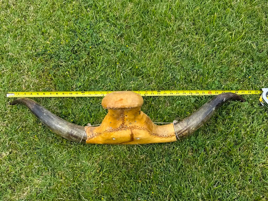Roping Dummy Head -real horn