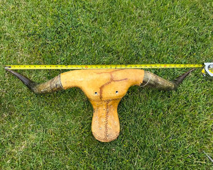 Roping Dummy Head -real horn