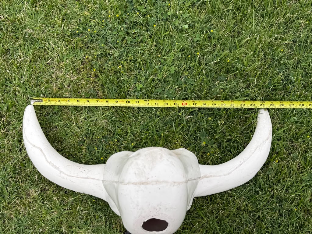 Roping Dummy Head